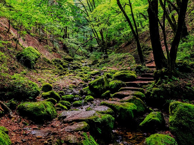 御岳山 ロックガーデン(青梅)