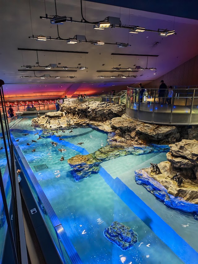 すみだ水族館