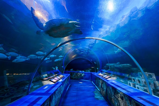 品川水族館