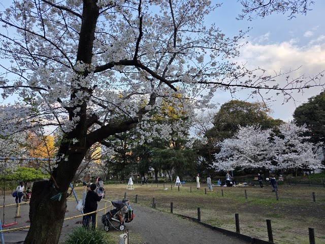 菅刈公園(日本庭園)