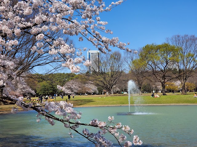代代木公園