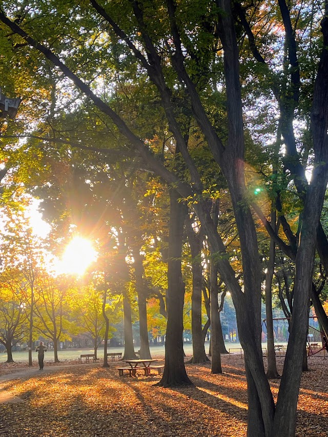 砧公園