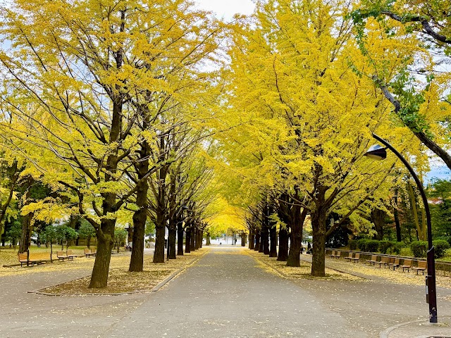 光丘公園