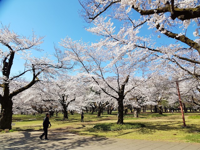 小金井公園